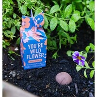 Seed Bomb