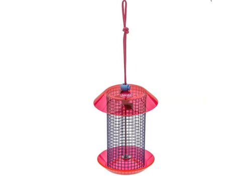  Sunflower Seed Feeder Blue & Fuchsia 