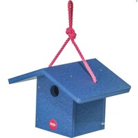 BC Wren House Blue & Fuchsia