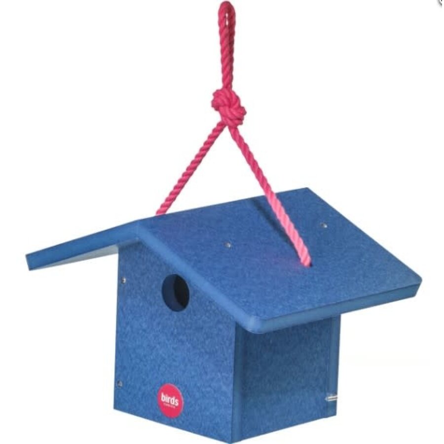 BC Wren House Blue & Fuchsia