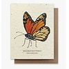 Small Victories Plantable Wild Flower Seed Card - Monarch Butterfly