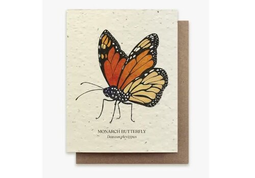  Small Victories Plantable Wild Flower Seed Card - Monarch Butterfly 