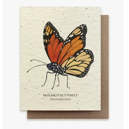  Small Victories Plantable Wild Flower Seed Card - Monarch Butterfly 