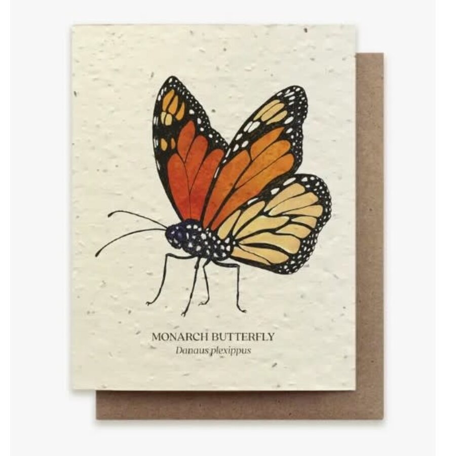 Plantable Wild Flower Seed Card - Monarch Butterfly