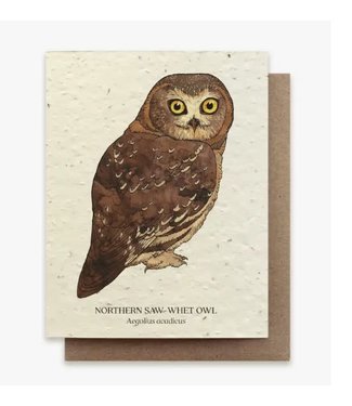 The Bower Studio Plantable Wildflower Seed Card - Northern Saw-Whet Owl