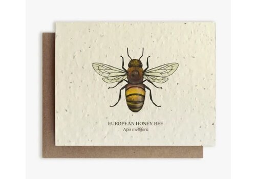 Small Victories Plantable Wildflower Seed Card - Honey Bee 
