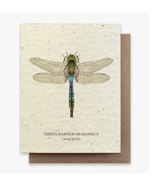Small Victories Plantable Wildflower Seed Card - Dragonfly