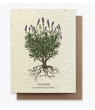 Small Victories Plantable Wildflower Seed Card - Lavender