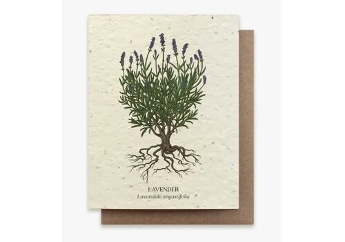  Small Victories Plantable Wildflower Seed Card - Lavender 