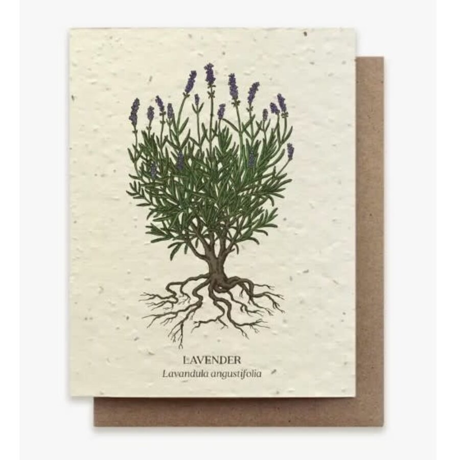 Plantable Wildflower Seed Card - Lavender