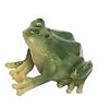 Mini Frog