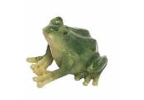  Mini Frog 