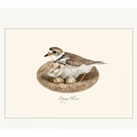 Plover Assorted Boxed Cards