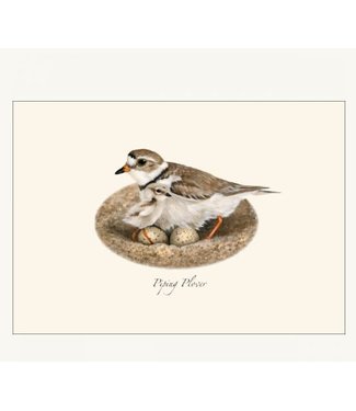 Earth sky water Plover Assorted Boxed Cards