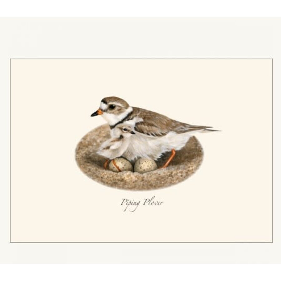 Plover Assorted Boxed Cards