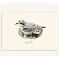 Plover Assorted Boxed Cards