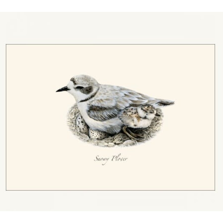 Plover Assorted Boxed Cards