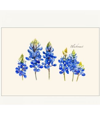 Earth sky water Bluebonnet Boxed Cards