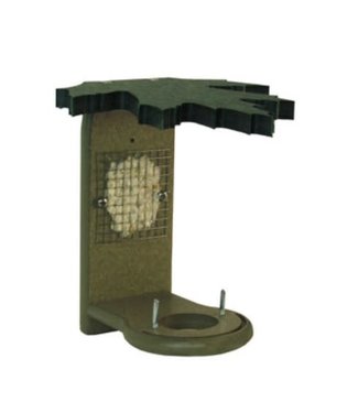 Hummingbird Nesting Platform