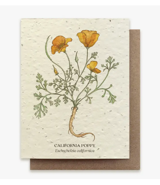 Small Victories Plantable Wildflower Seed Card - California Poppy