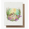 Small Victories Plantable Herbs Card - Summer Plovers
