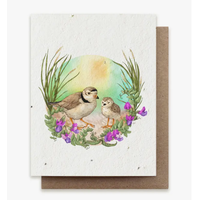 Plantable Herbs Card - Summer Plovers