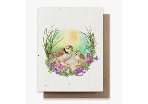  Small Victories Plantable Herbs Card - Summer Plovers 