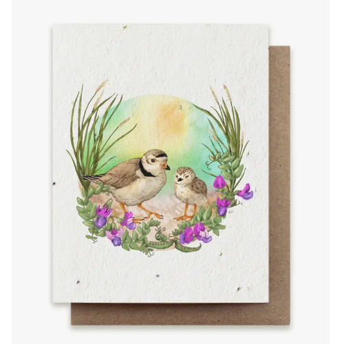  Small Victories Plantable Herbs Card - Summer Plovers 