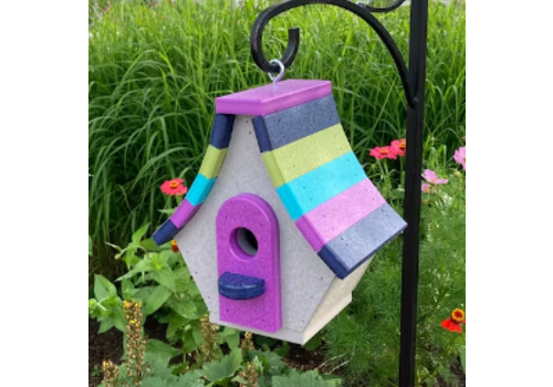  Tahoe Chalet Birdhouse 