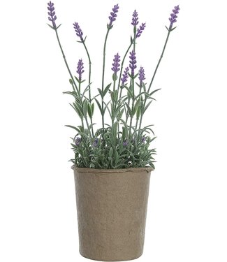 Creative Co-Op Lavender Paper Pot