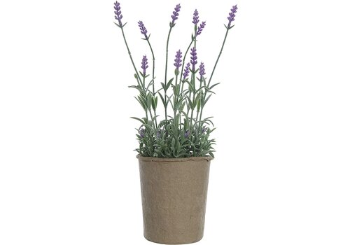  Creative Co-Op Lavender Paper Pot 