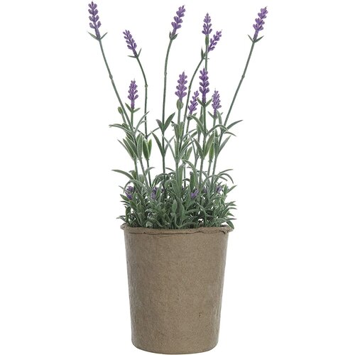  Creative Co-Op Lavender Paper Pot 
