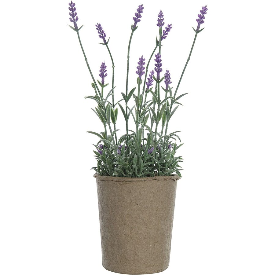 Lavender Paper Pot
