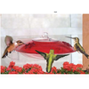 DY Window Hummingbird Feeder
