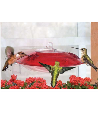 DY Window Hummingbird Feeder