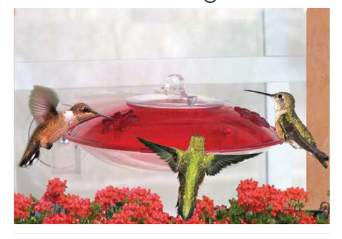  DY Window Hummingbird Feeder 