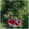 Ruby Sipper Hummingbird Feeder Clear