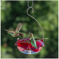 Ruby Sipper Hummingbird Feeder Clear
