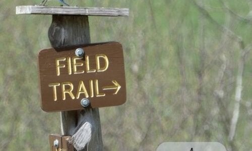 Highland Preserve & Bell Farm 5.1.23