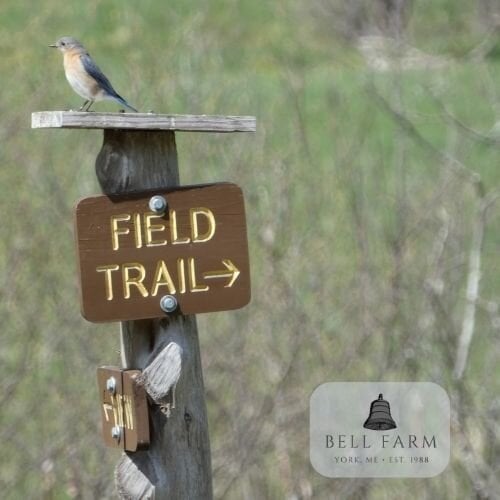 Highland Preserve & Bell Farm 5.1.23