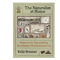 The Naturalist at Home