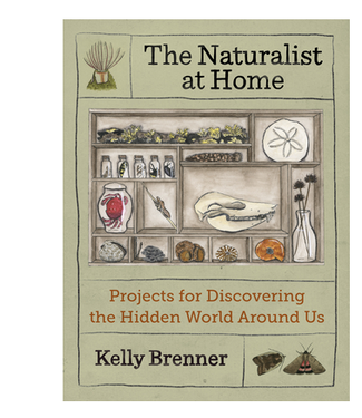 The Naturalist at Home
