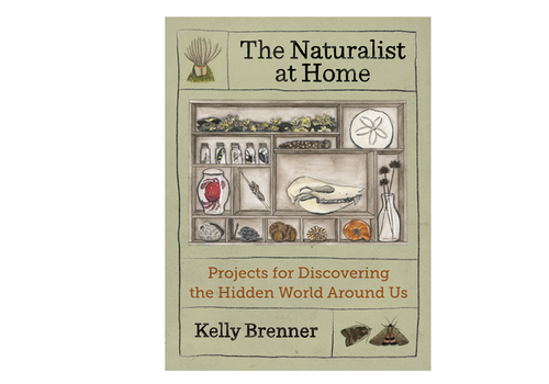  The Naturalist at Home 
