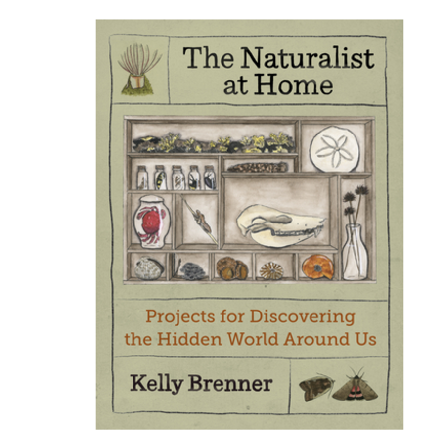 The Naturalist at Home