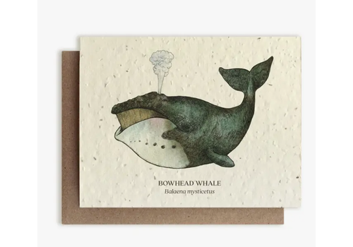  Small Victories Plantable Wildflower Seed Card - Whale 