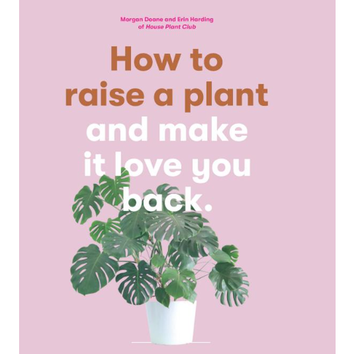  How to Raise a Plant 