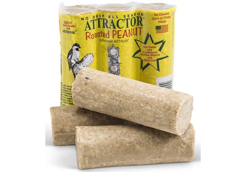  Woodpecker  Products Suet Plugs Roasted Peanuts * 