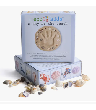 eco-kids A Day at the Beach