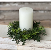Candle Ring Boxwood Small 8"
