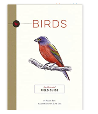 Harper Collins Birds: An Illustrated Field Guide